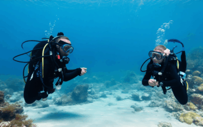 Scuba Diving Classes 101: Costs, Duration, and Career Paths
