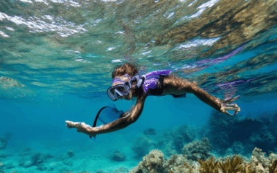 Unforgettable Snorkeling Trips: Best Spots from California to the Caribbean